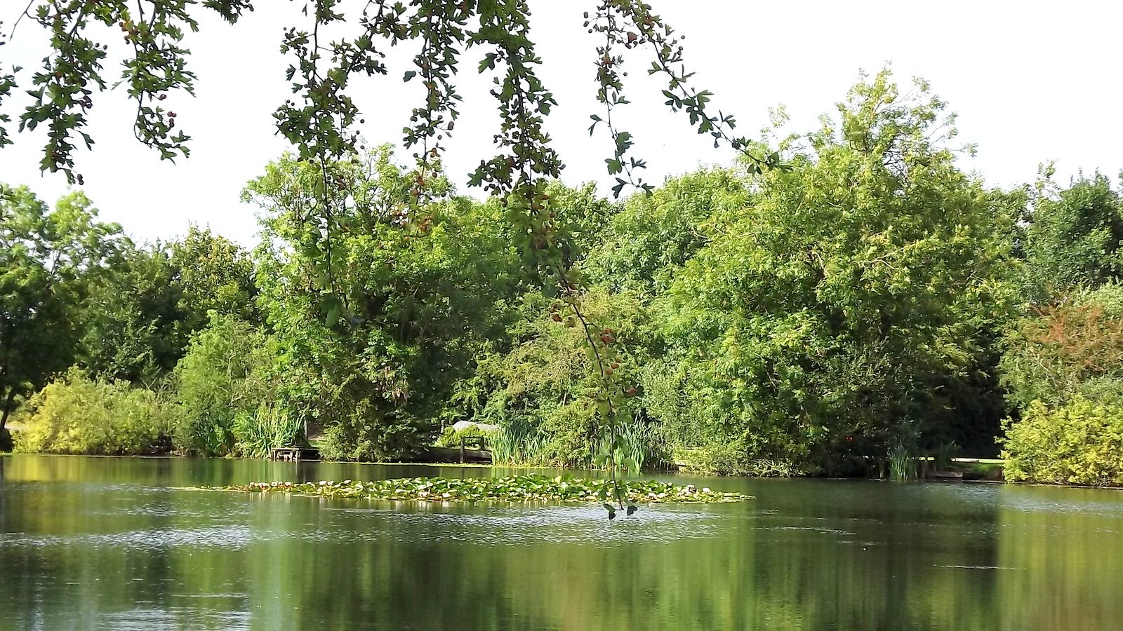 Fishing at Brickyard Lakes